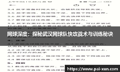网球深度：探秘武汉网球队快攻战术与训练秘诀