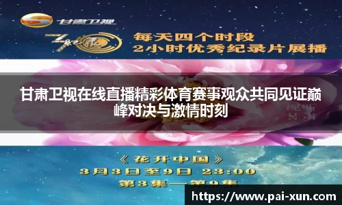 甘肃卫视在线直播精彩体育赛事观众共同见证巅峰对决与激情时刻