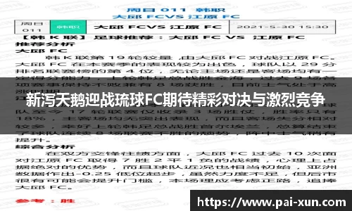 新泻天鹅迎战琉球FC期待精彩对决与激烈竞争