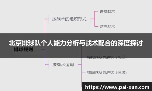 北京排球队个人能力分析与战术配合的深度探讨